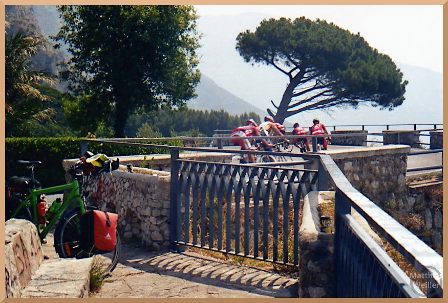 Rennradgruppe auf der Amalfistraße, Pinie