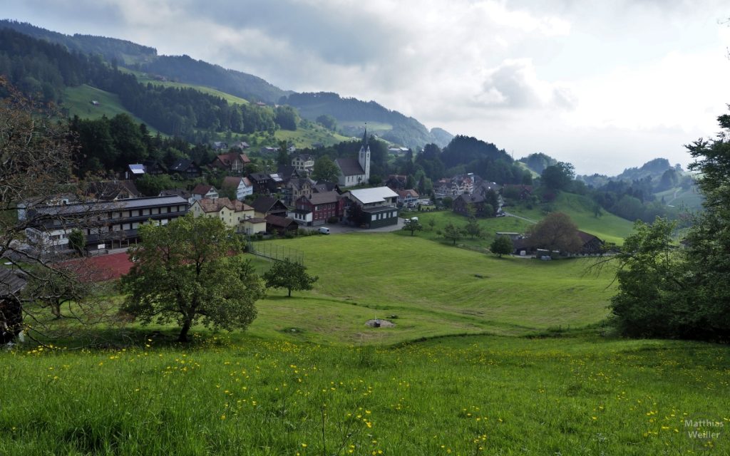 Panorama auf Reute im Appenzellerland