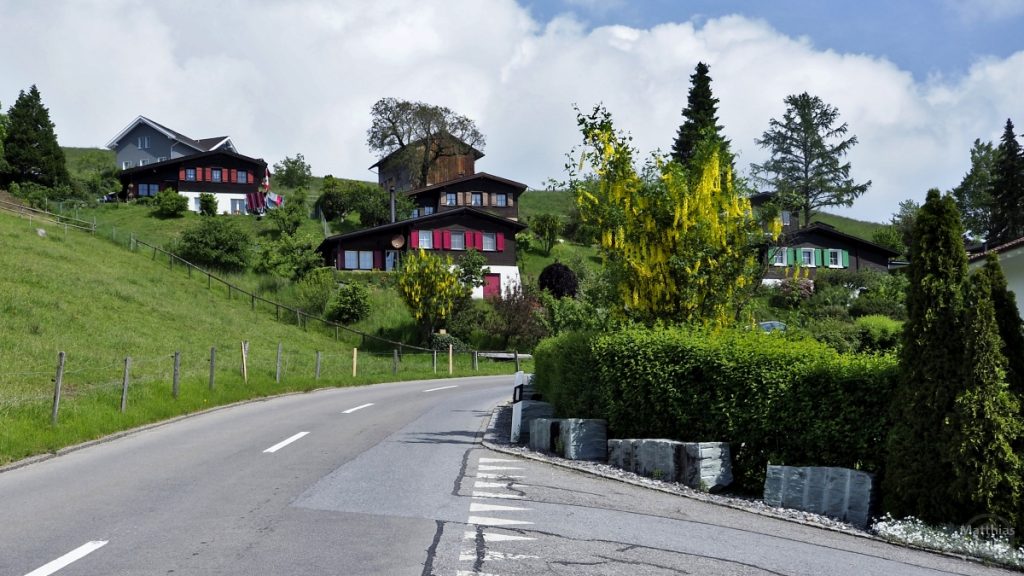 Chaletartige Holzhäuser mit farbigen Fensterläden an grünem Berghang mit Straßenkurve und Goldregen