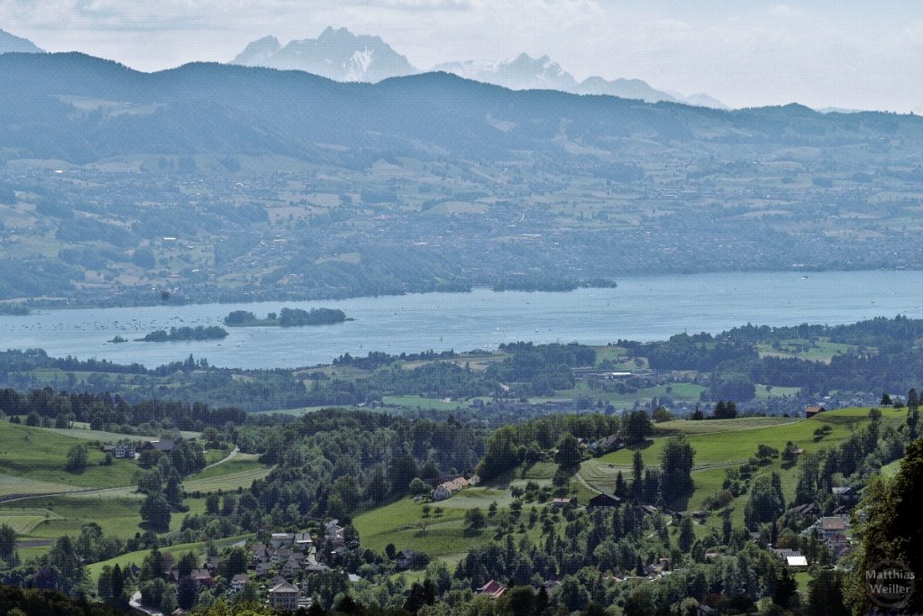 stilisiertes Bild mit Panorama auf Zürichsee