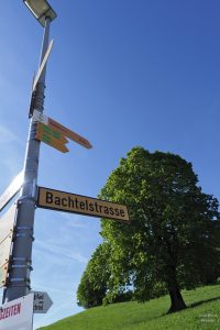 Schild Bachtelstraße mit Kastanienbaum