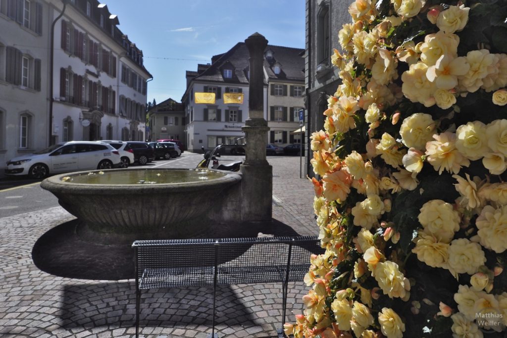Brunnen in Fraunefeld vor Platz und mit gelbem Blumenschmuck im Vordergrund