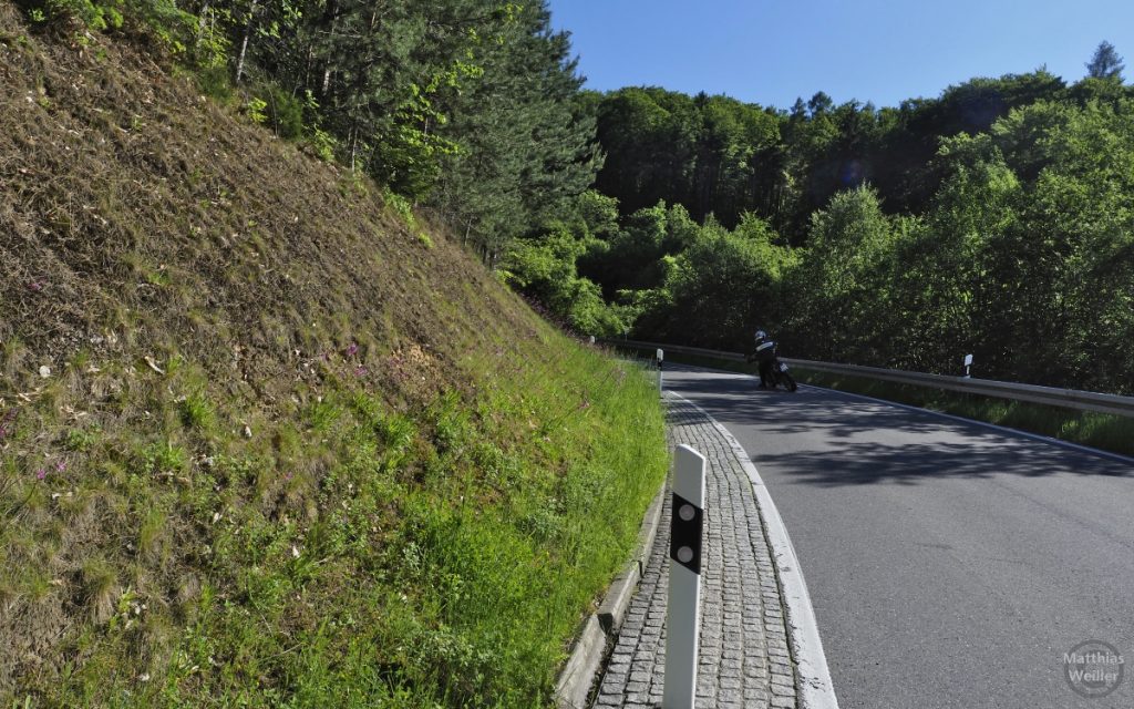 Straßekurve Schiner Berg mit Motorradfahrer in Schräglage