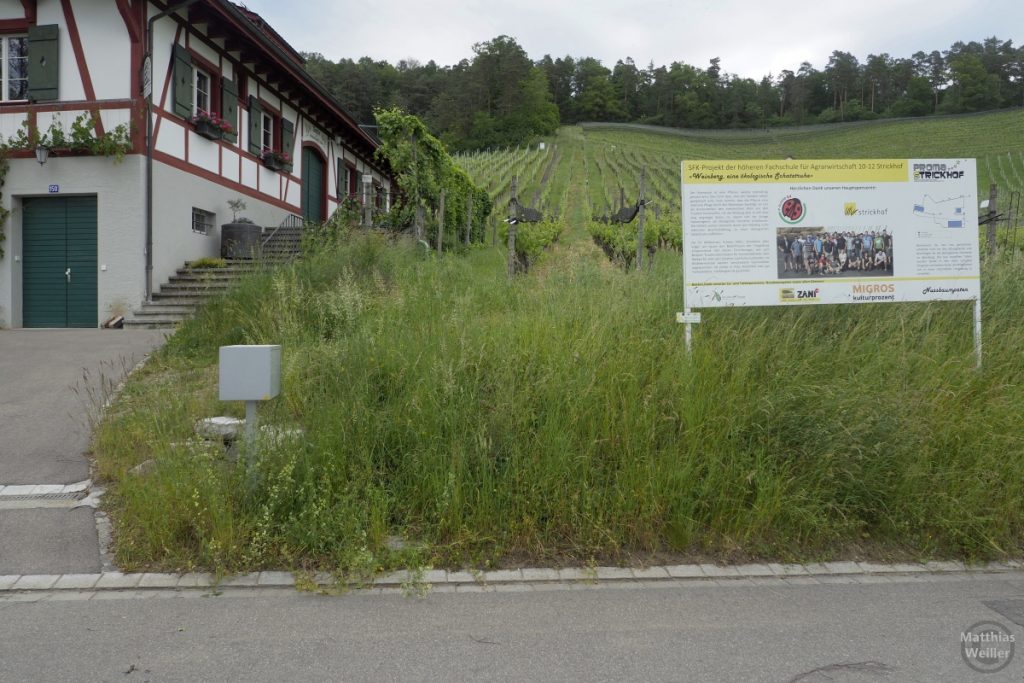 Bio-WEinanbau-Tafel Zürcher Weinland bei Andelfingen mit Hofgut und Weinberg