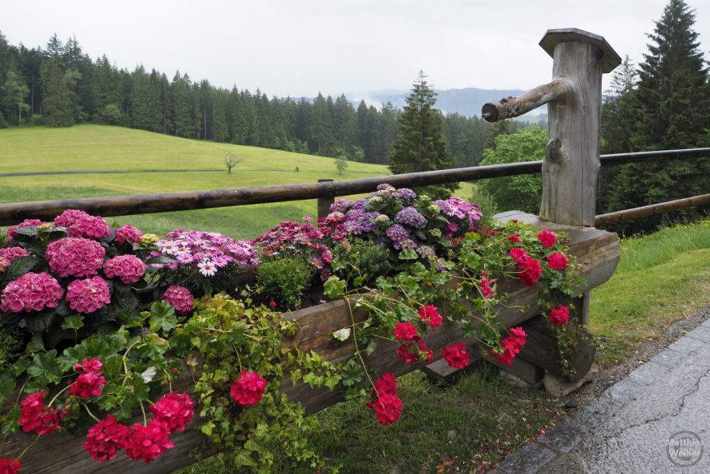 Blumenbrunnen in Gottschalkenberg vor Bergweide