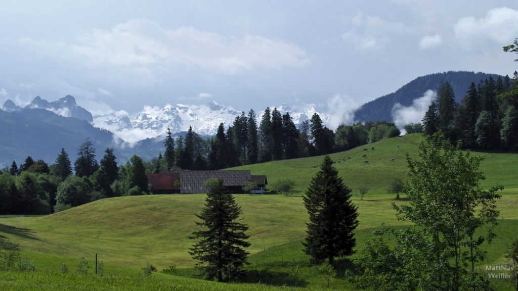 Grüne Almwiesen mit schneebedeckten Bergen im Hintergrund zwischen Kistenpass und Menzingen