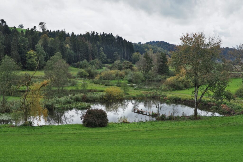 Teichlandschaft Ostergau mit spiegelndem Teich