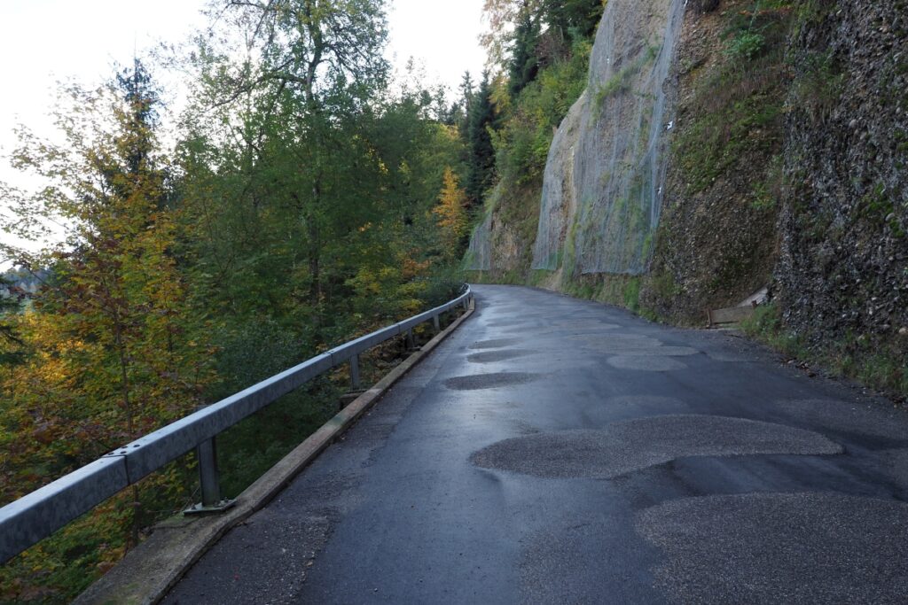 Straße mit Herbstbäumen und Netzgesicherter Felswand
