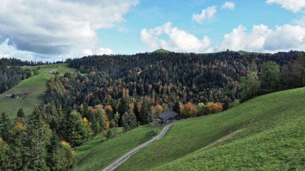 Wellige Horizonte mit Herbstwald, Napfbergland