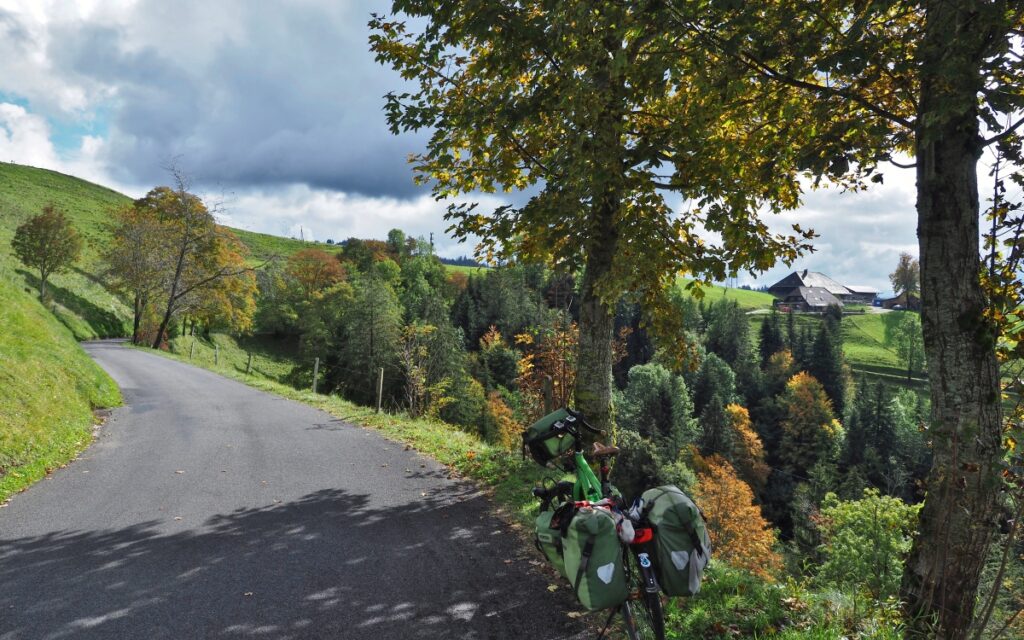 Kurve mit Wiesenhügel und Herbstbäumen, schwarzwaldähnliche Bauernhäuser im Hintergrund