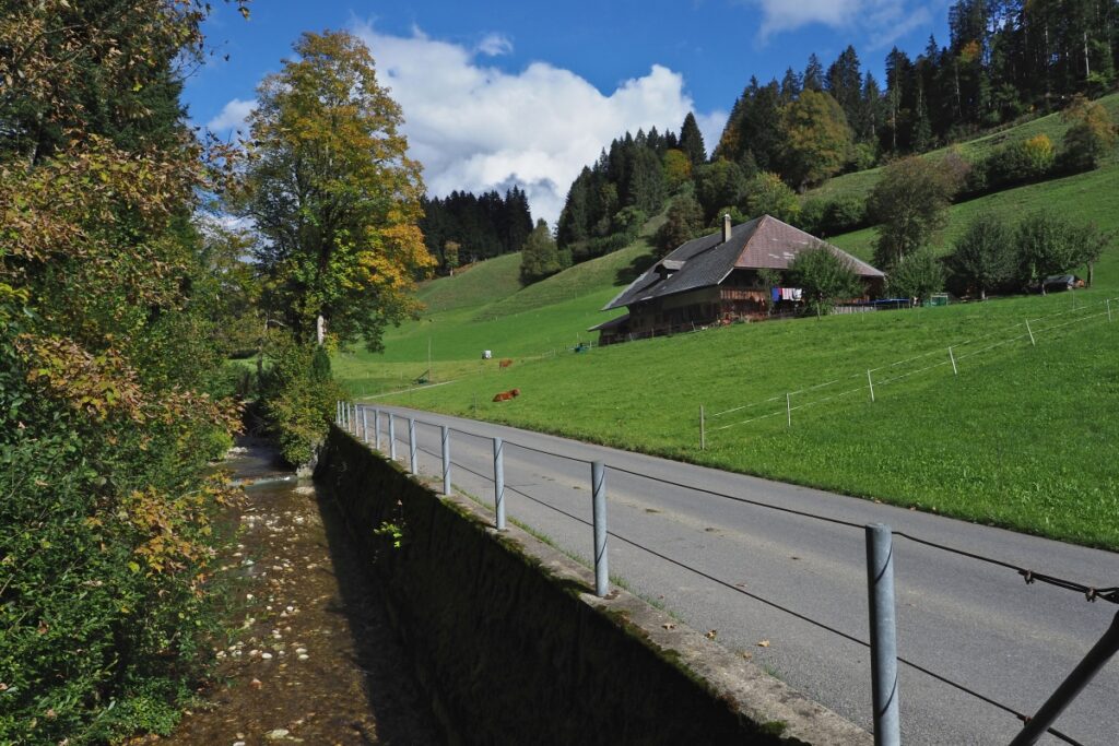 Bauernhaus wie Schwarzwald mit Bergwiese und Straße