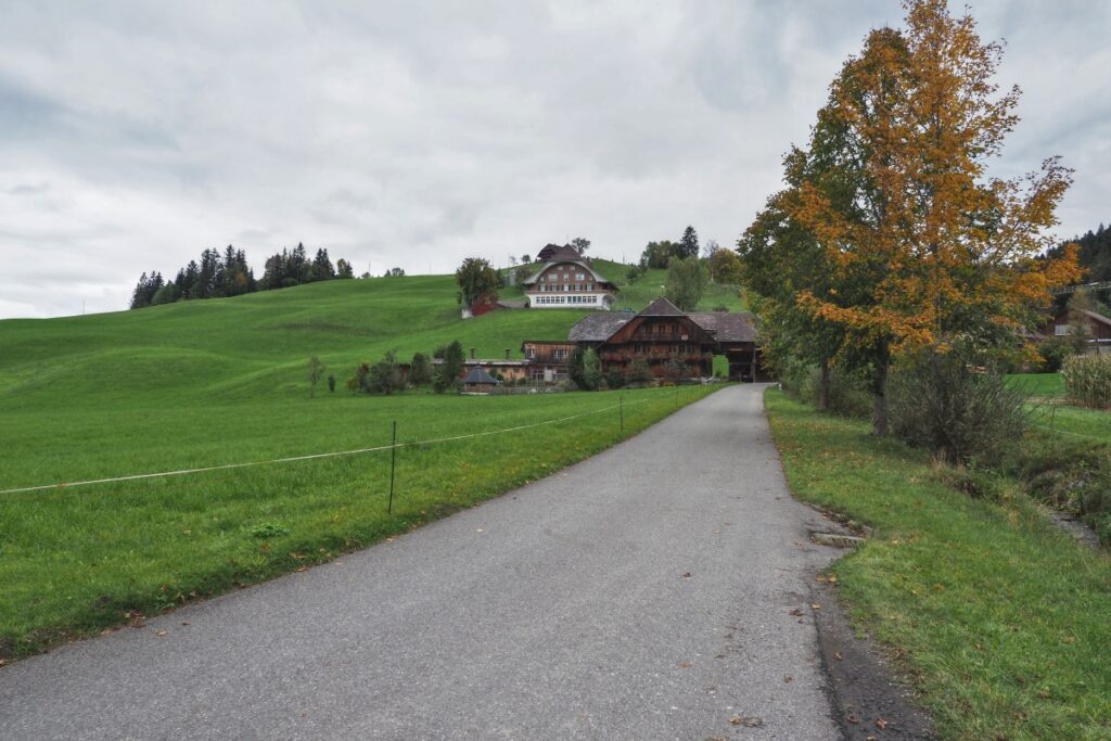 Bauernhäuser am offenen Wiesenhang in Süderen