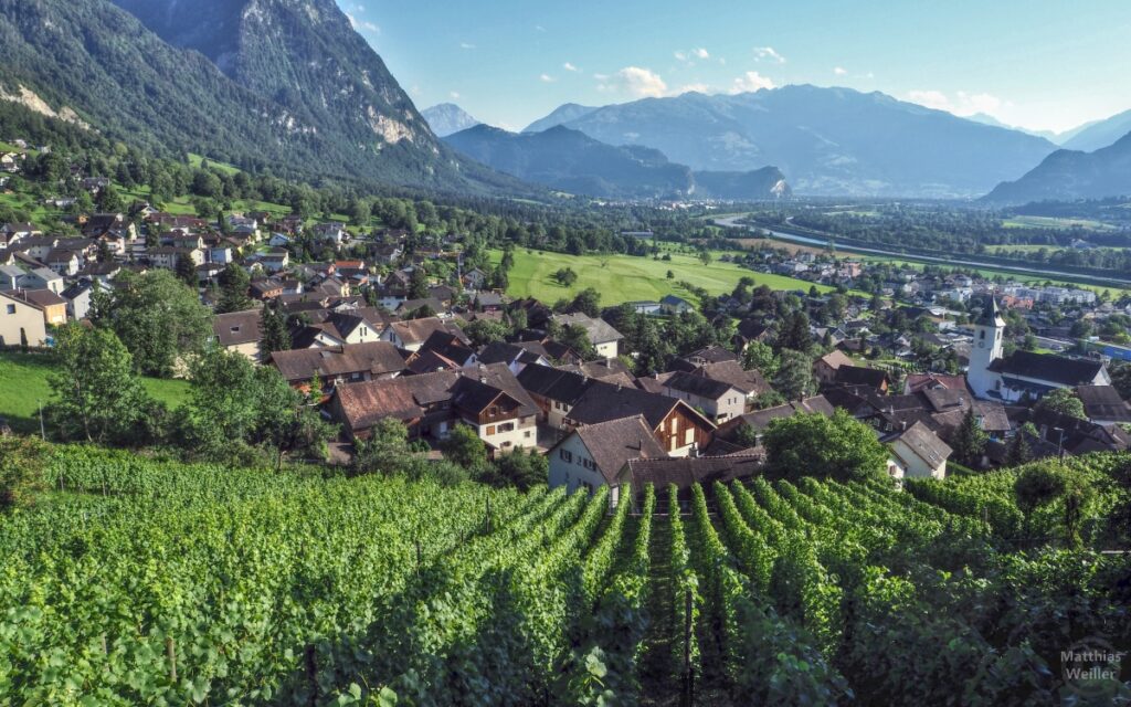 Blick über Weinberg mit Ort Triesen und Alpenrheintal