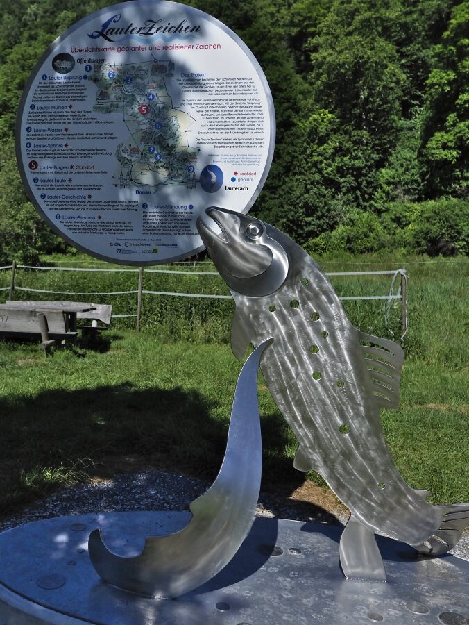 Metallglänzende Forellenskulptur mit runder Infotafel "Lauterzeichen"