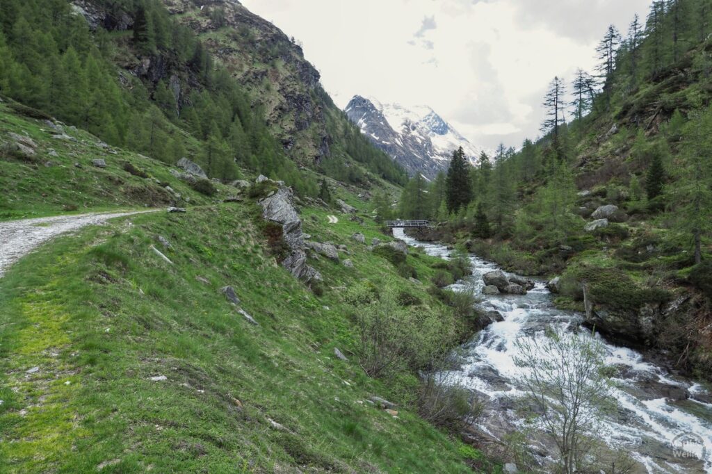 Blick ins Val Carassina mit Bergfluss