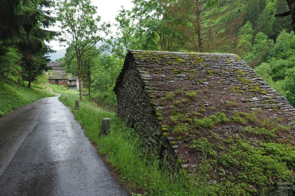 Straße mit überwuchertem Steindach im Val Malvaglia