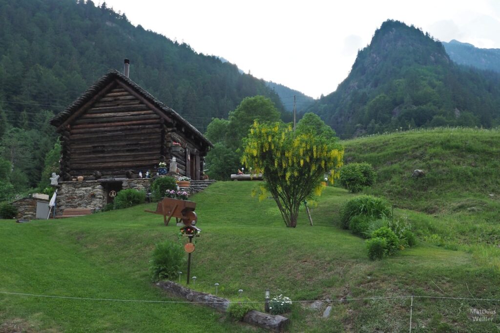 Holzberhaus mit Goldregen und Berg