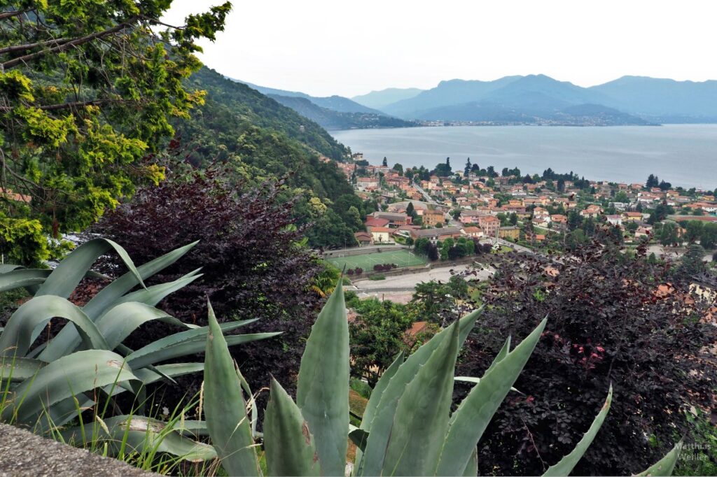 Blick über Maccagno über den See Richtung Luino, mit Agavenblättern