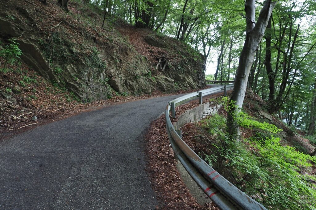 Straße durch lichten Laubwald mit Fels zum Col de Cuviglione