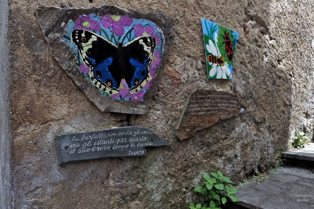 Fresko in Boarezzo: Schmetterling und weitere Insekten