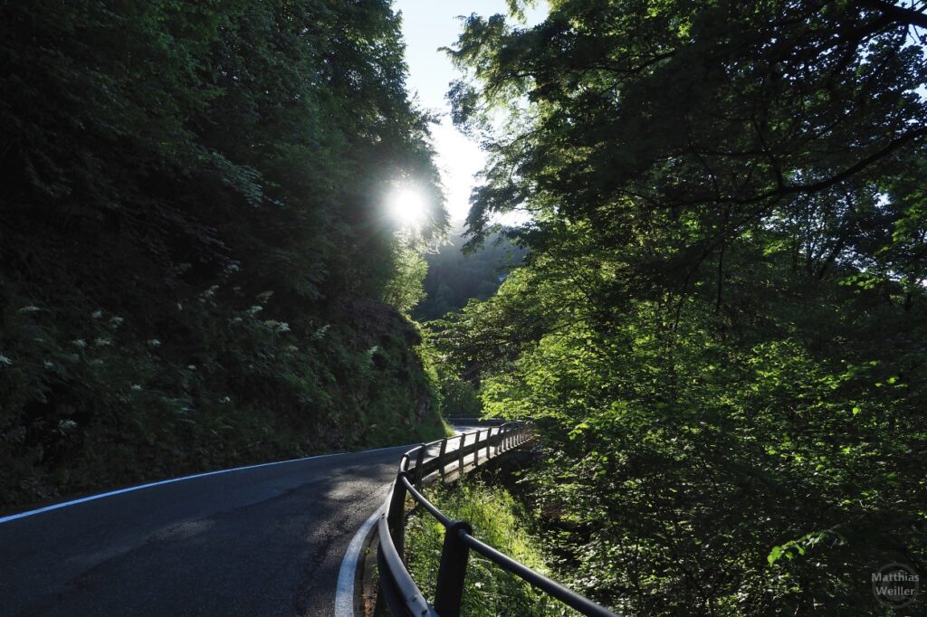 Straße durch lichten Bergwald mit Sonne im Gegenlicht