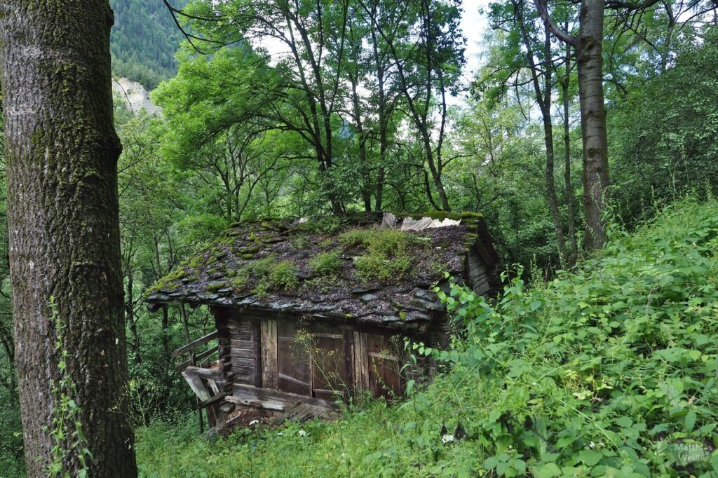 überwucherte Hütte im Berghang