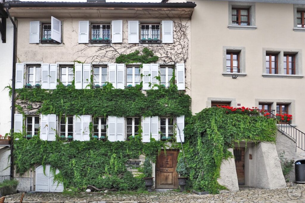 Haus mit Efauranken in Gruyères