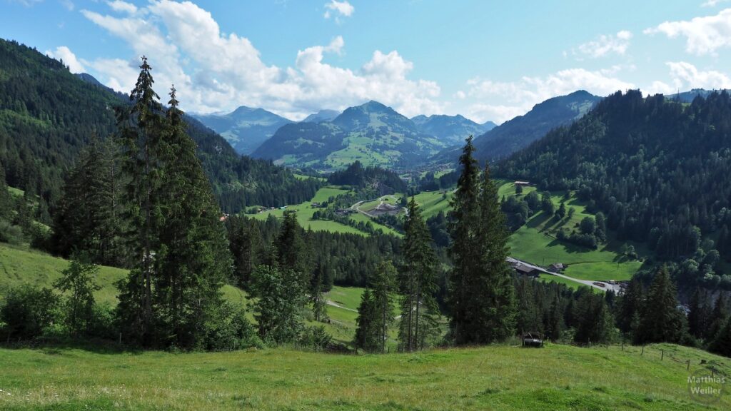 Panorama ins Simmental
