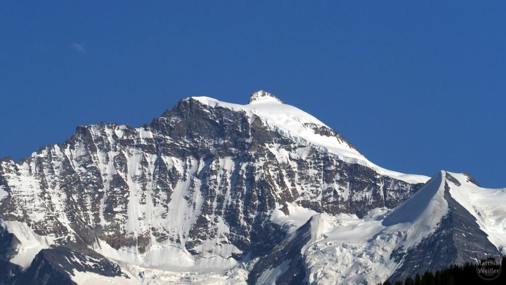 Jungfrau (Berg)