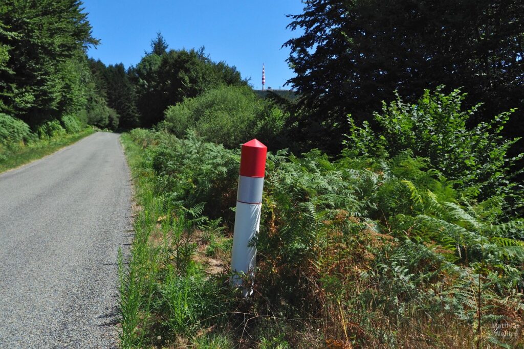 Blick von Straße mit weiß-rotem Leitpfosten durch grüne Farnböschung zum weiß-rotem Funkturm des Pic Nore