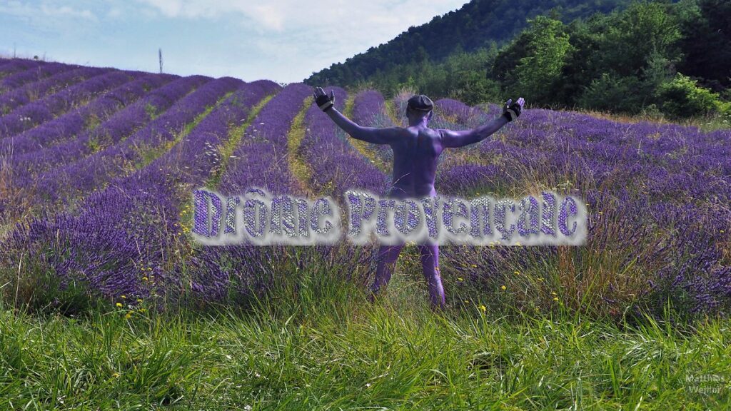 Lavelfeld im Diois mit nacktem Selbstportrait von hinten, gehobene-Arme-Pose, Haut in Lavendelfarben geändert, mittiger Schriftzug über Po "Drôme Provençale"