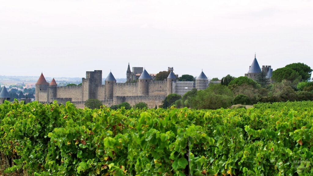 Festungsansicht der Cité von Carcassonne üebr die Weinberg gesehen