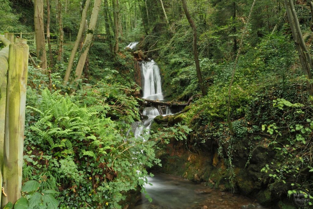 Wasserfallstufen in Farnwald, Gran Font d'Ogassa