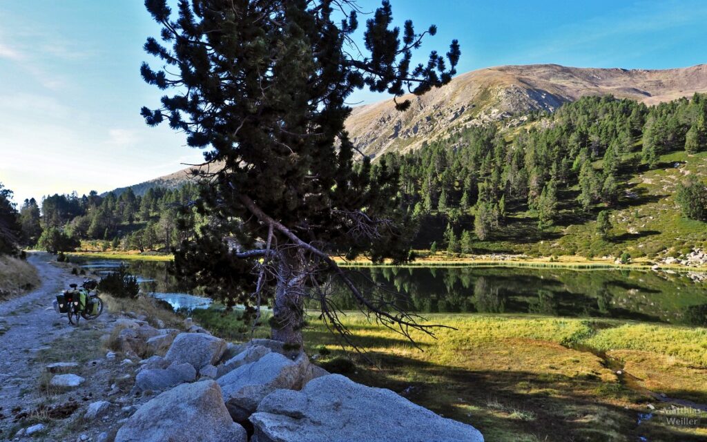 Estany petit de la Pera, Pirineus Cerdanya, grün spiegelner Bergsee mit Piste, Rieserad und Baum im Vordergrund