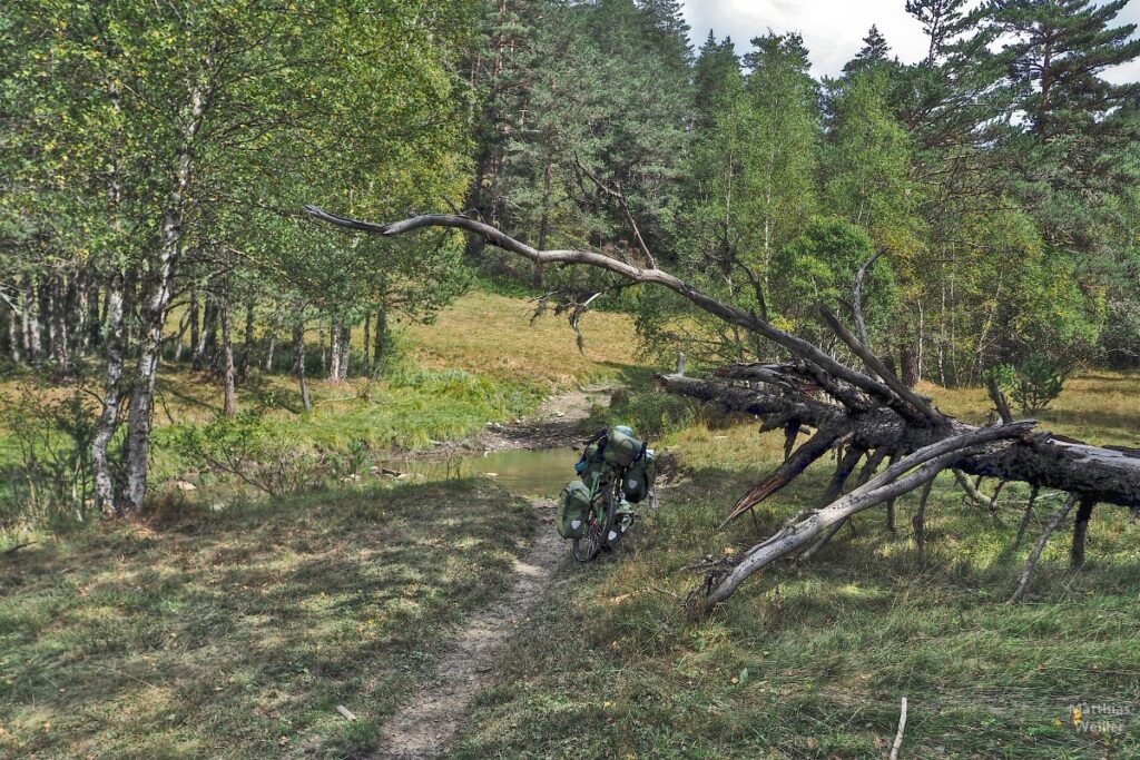 Reiserad auf Trail mit Flussfurt und Totholzbaum quer