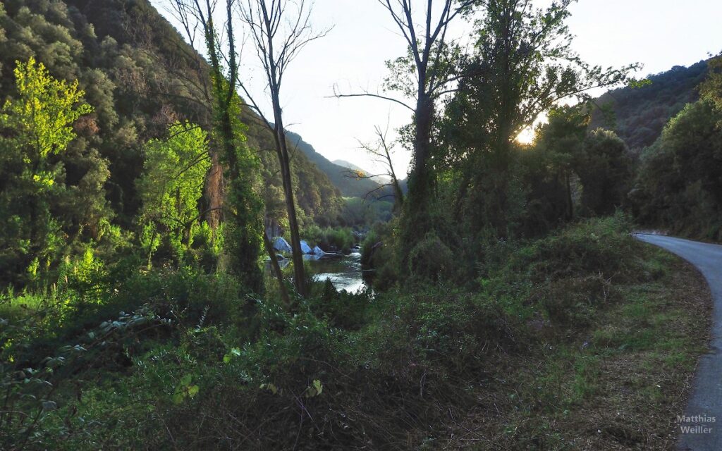 Vall de Ter mitStraße, Flusslauf und überwuchertem Uferwald