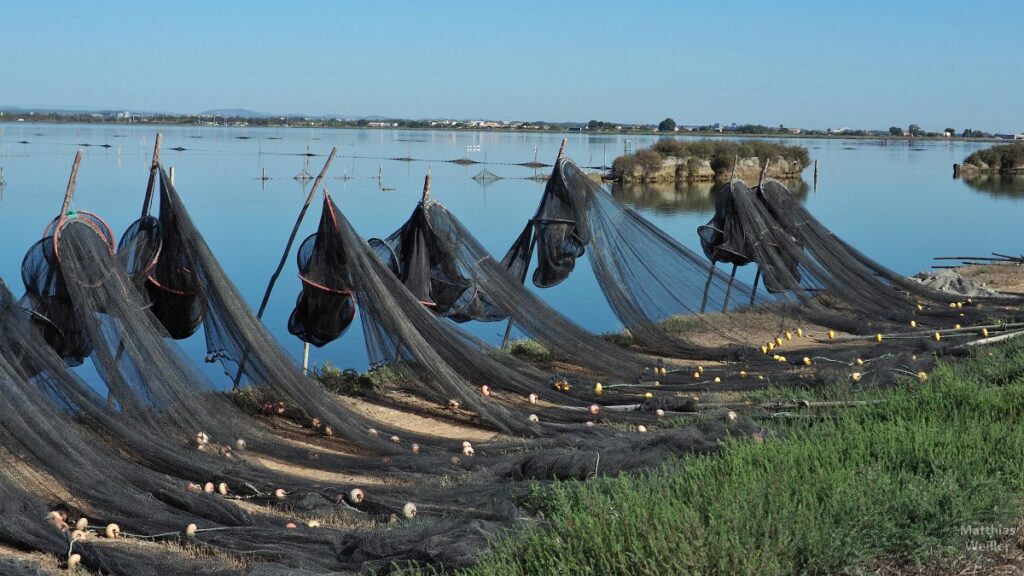 aufgereihte Fischnetze vor dem Brackwassersee am Canal de Rhône à Sète