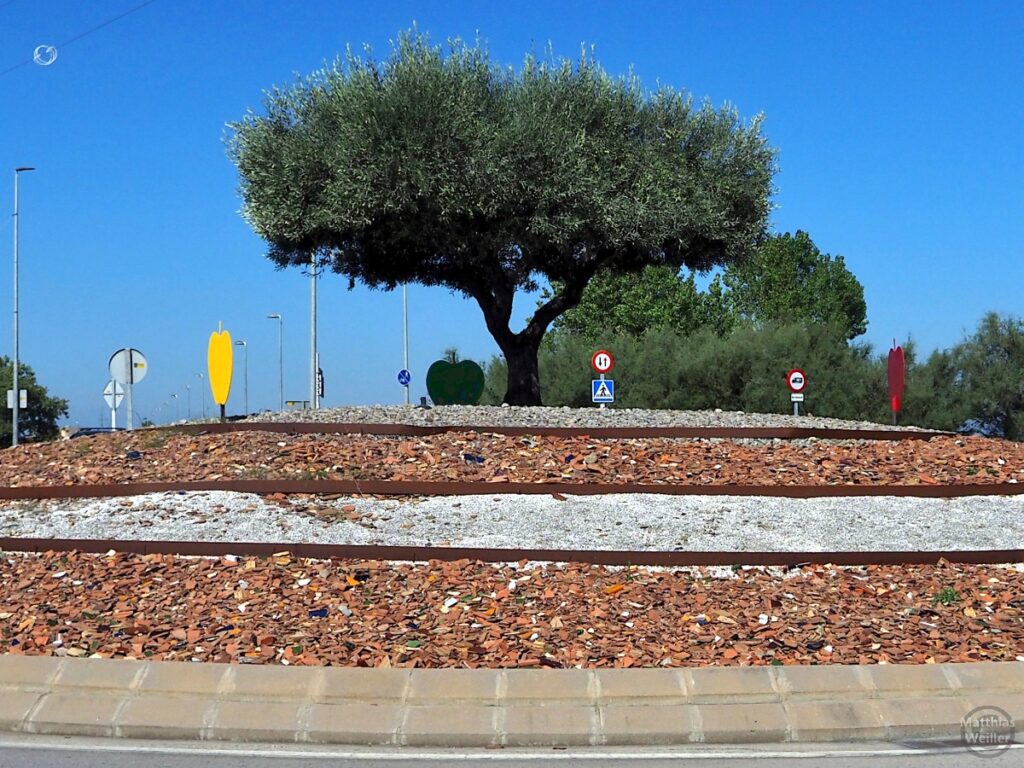 Verkhrskreisel mimt Olivenbaum und Apfelsschildern in Sant Pere Pescador