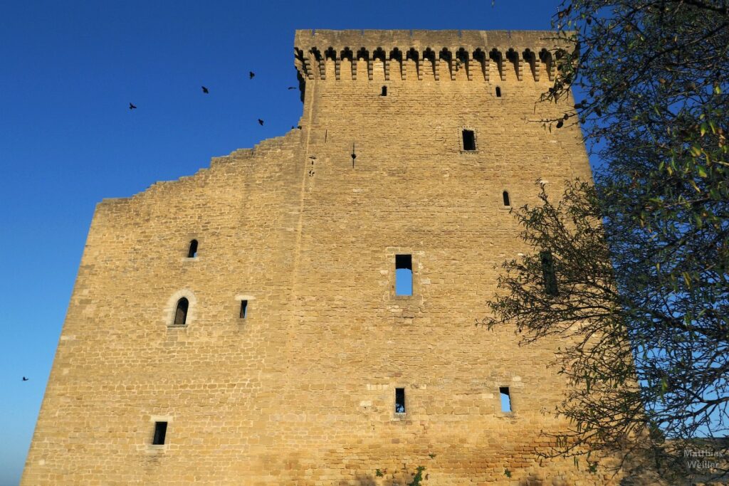 Château-Ruine der ehemaligen Papstresidenz in Châteauneuf-du-Pape, Turmansicht in der Froschperspektive, mit fleigenden Raben