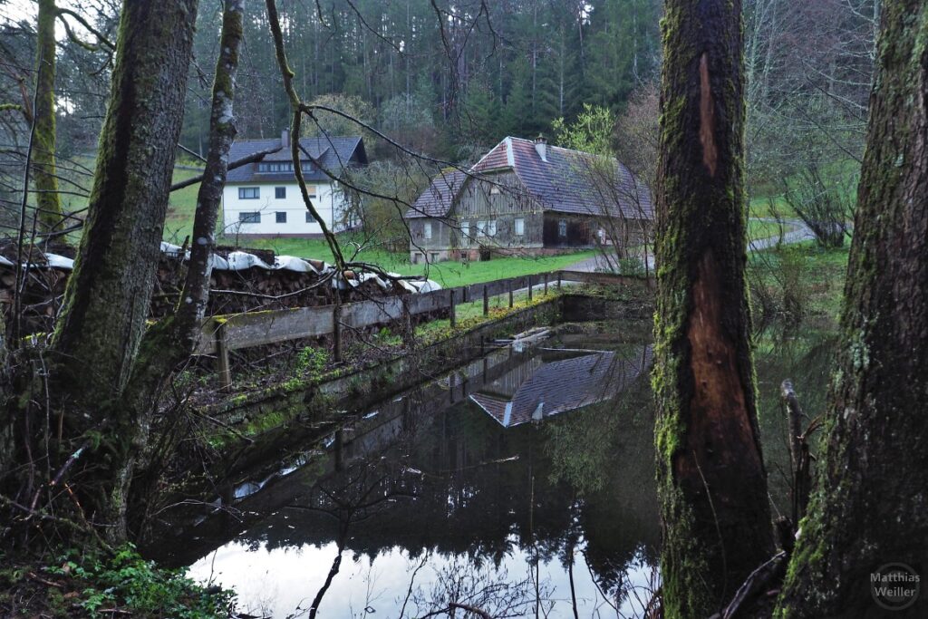 Schwarzwaldhaus im Spiegel eines Fischweihers