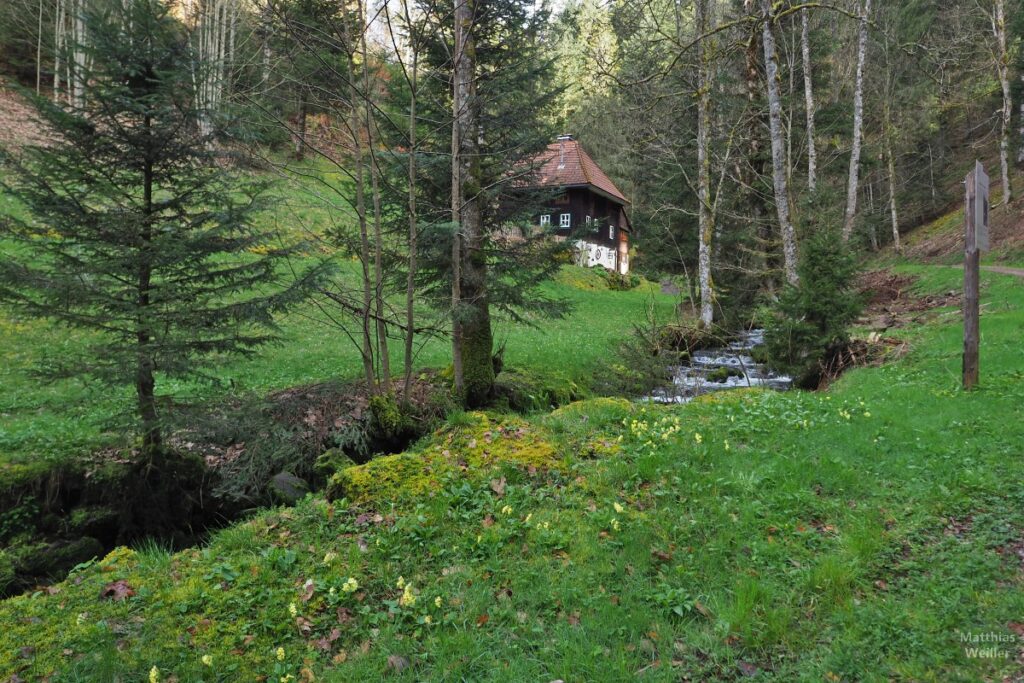 Schwarzwaldhaus mit gestuftem Bergbach im Brennersloch