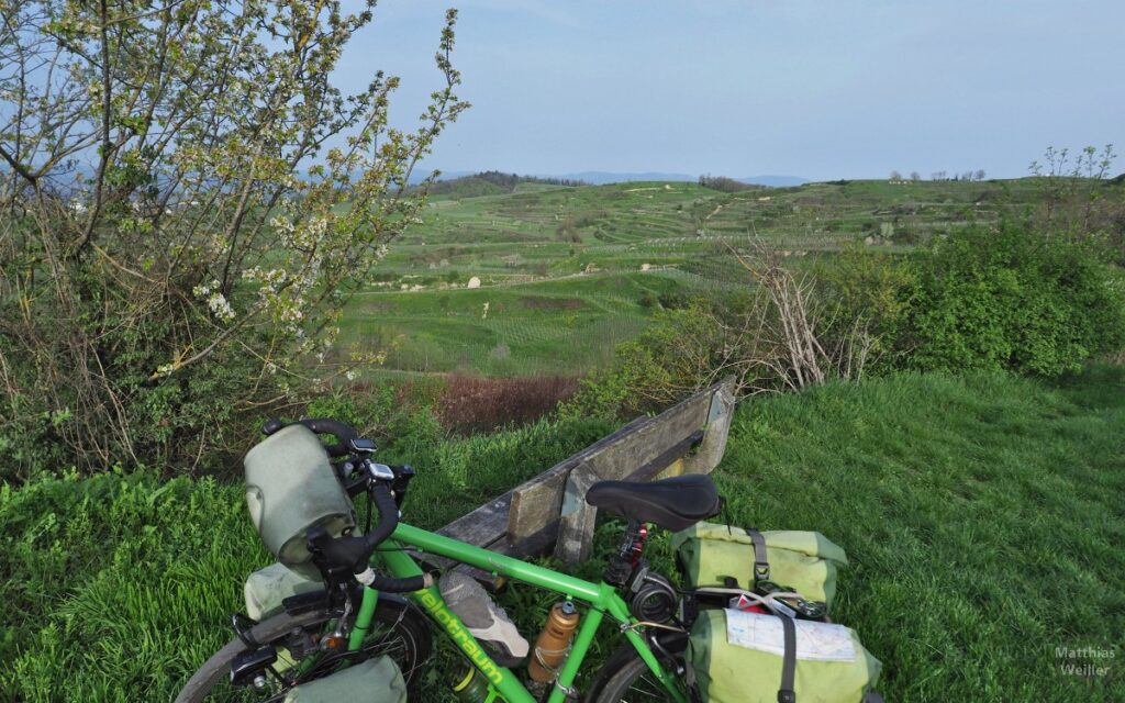 Blick in die Ihringer Weinberge, mit Reiserad