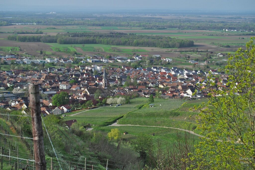 Panorama auf Ihringen