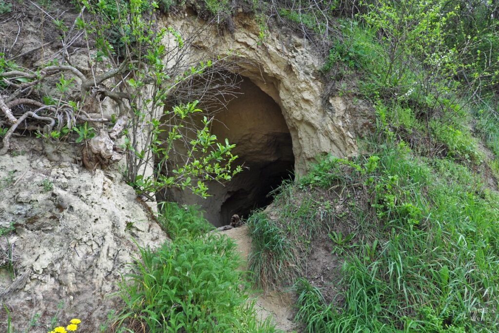 Lössbodenhöhle