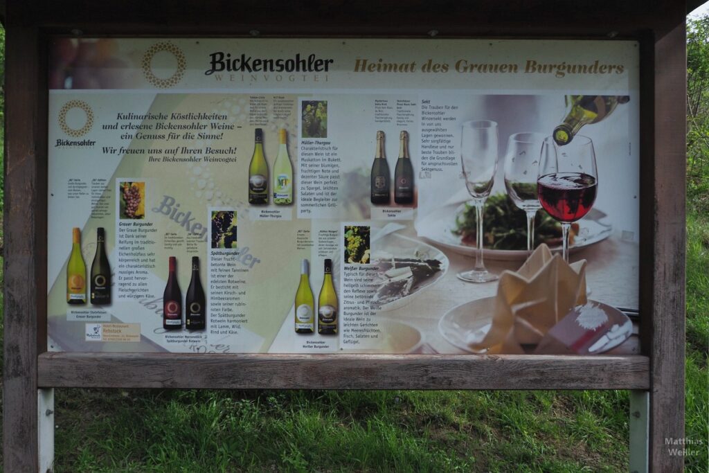 Infotafel zum Grauen Burgunder, Bickensohler Weinvogtei