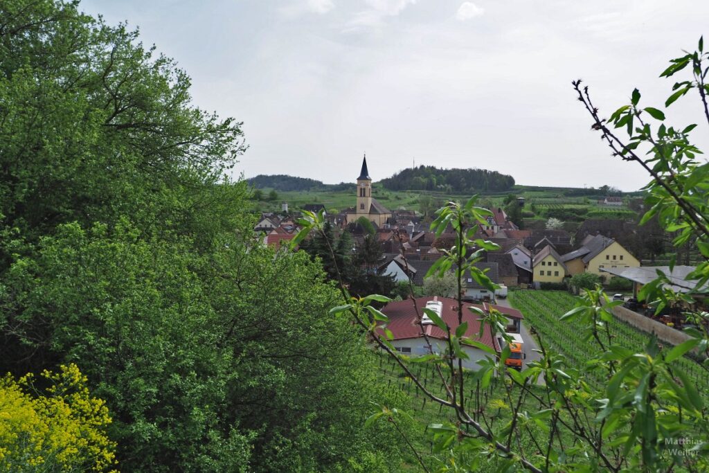 Blick auf Bischoffingen