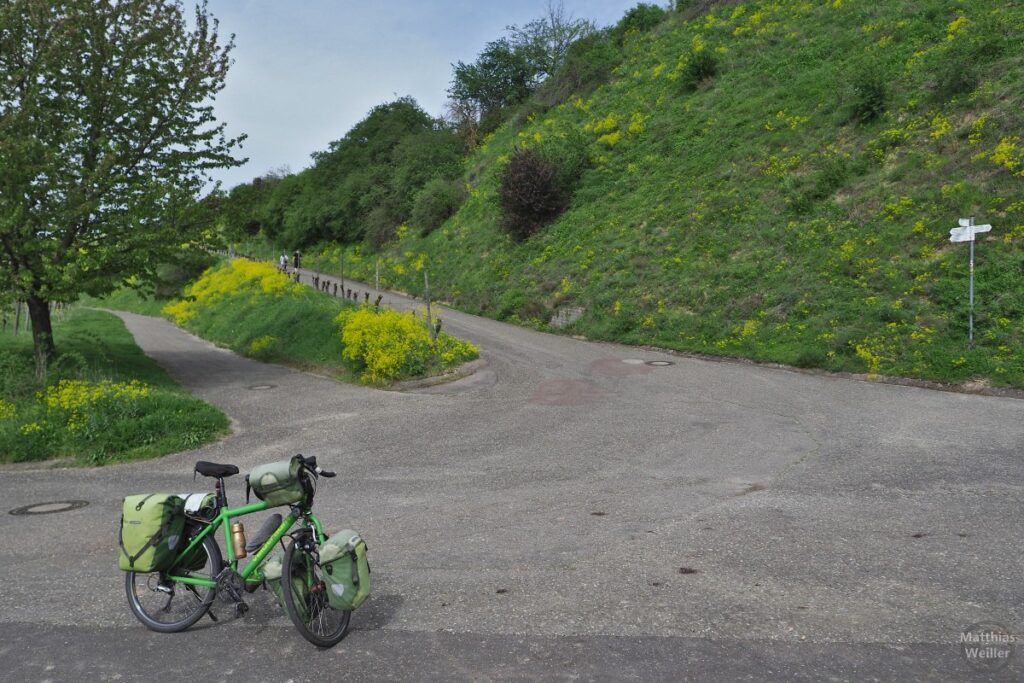 Weinbergkehre zur Mondhalde mit Reiserad