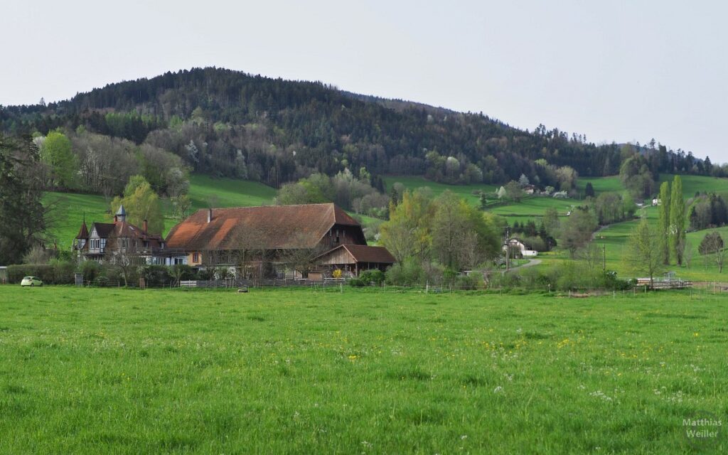 Schwarzwaldtal mit typ. Haus und Türmchengebäude