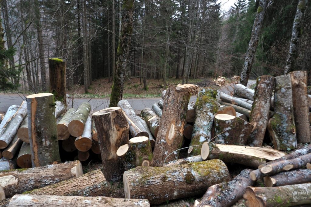 Holzstapel an Straße