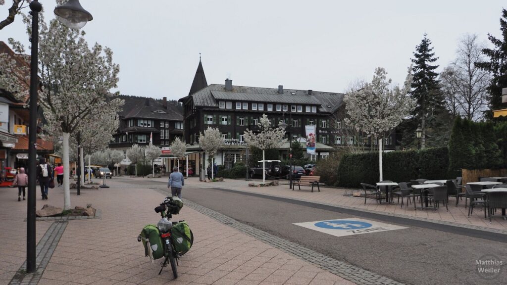 Titisee Ort mit Blütenallee